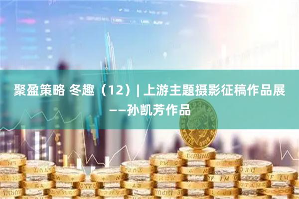 聚盈策略 冬趣（12）| 上游主题摄影征稿作品展——孙凯芳作品